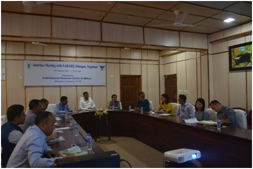 Interaction between ICAR-NRC Mithun Scientists and Offcicials of NABARD Nagaland.